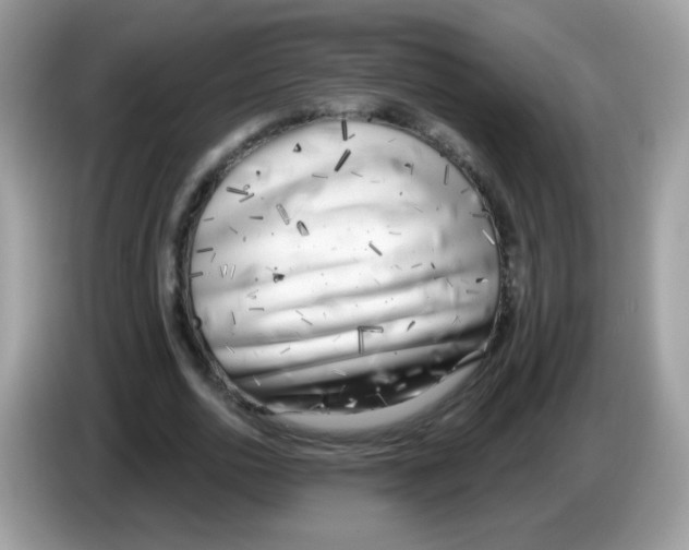 X0000086250726200704261935