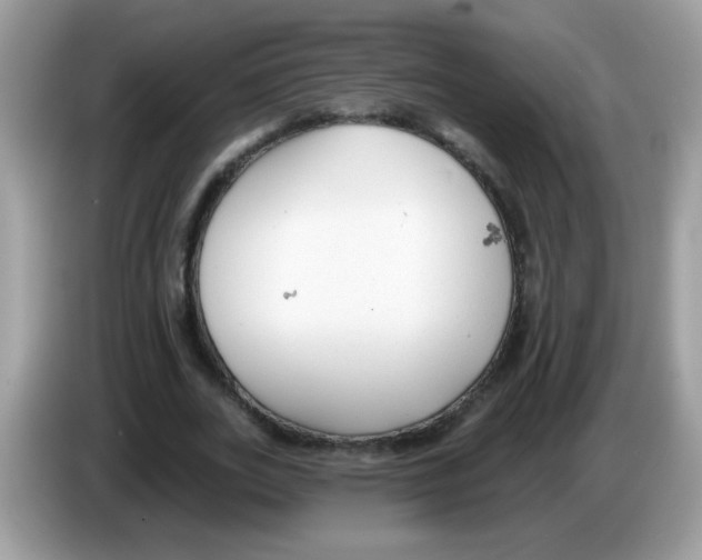 X0000086250727200704261935