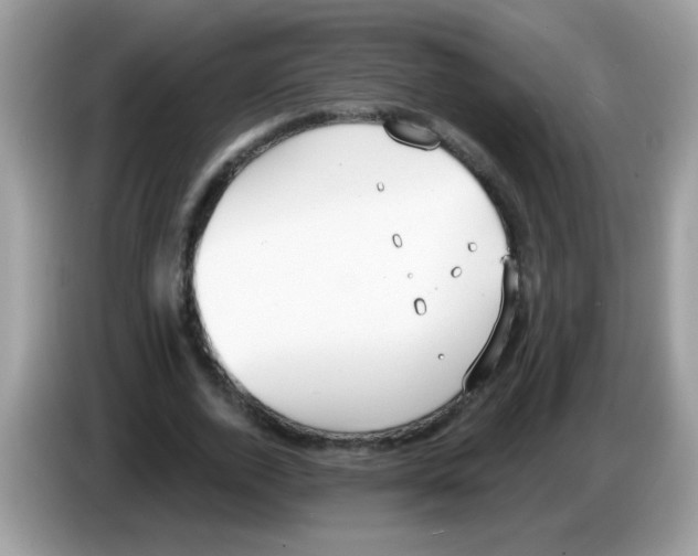 X0000086250728200704261935