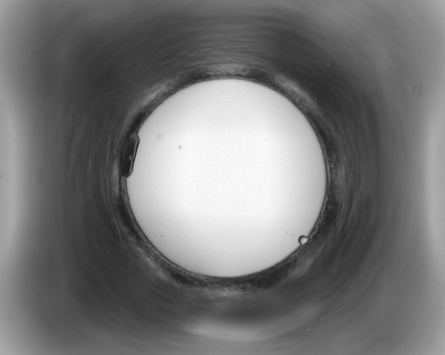 X0000086250729200704261935
