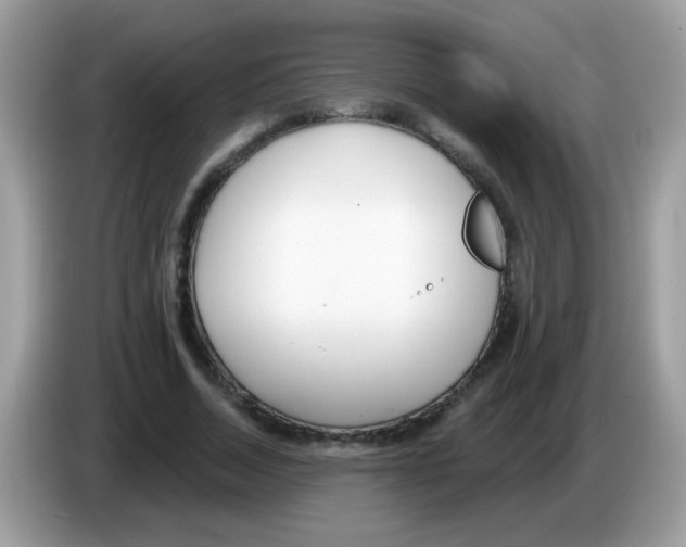 X0000086250730200704261935