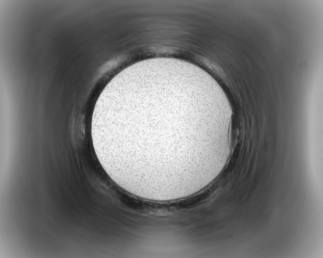 X0000086250731200704261935