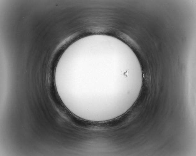 X0000086250732200704261935