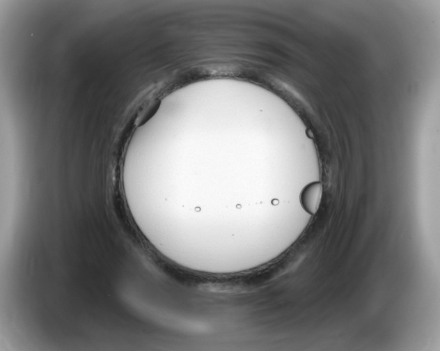 X0000086250733200704261935