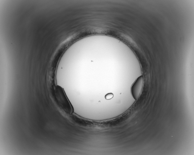 X0000086250736200704261935