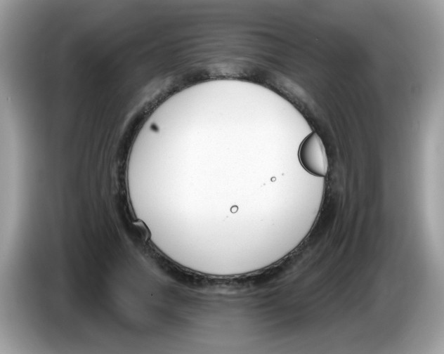 X0000086250738200704261935