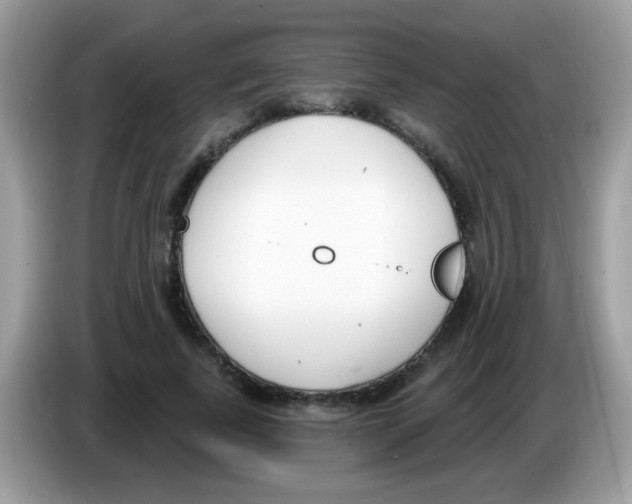 X0000086250739200704261935