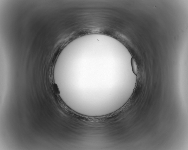 X0000086250740200704261935