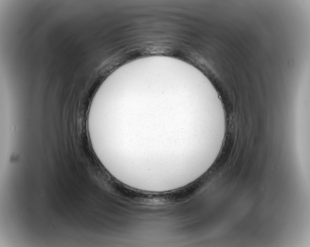 X0000086250741200704261935