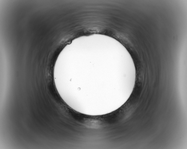 X0000086250743200704261935