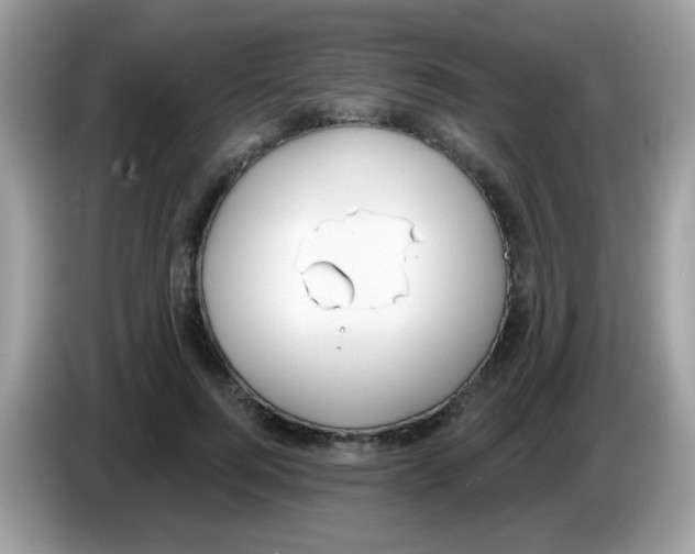 X0000086250744200704261935