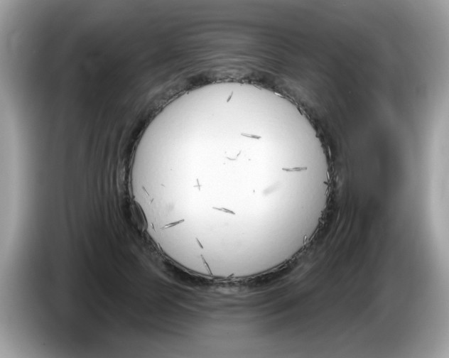 X0000086250745200704261935
