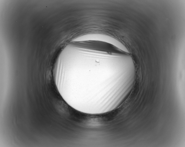 X0000086250746200704261935