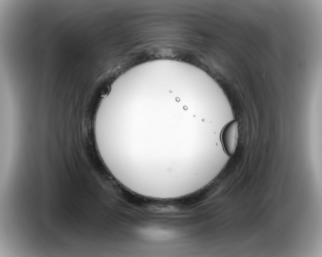 X0000086250747200704261935