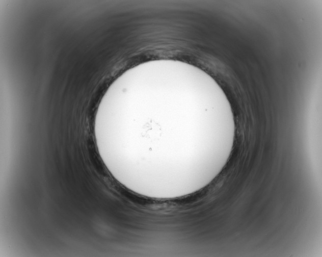 X0000086250752200704261935
