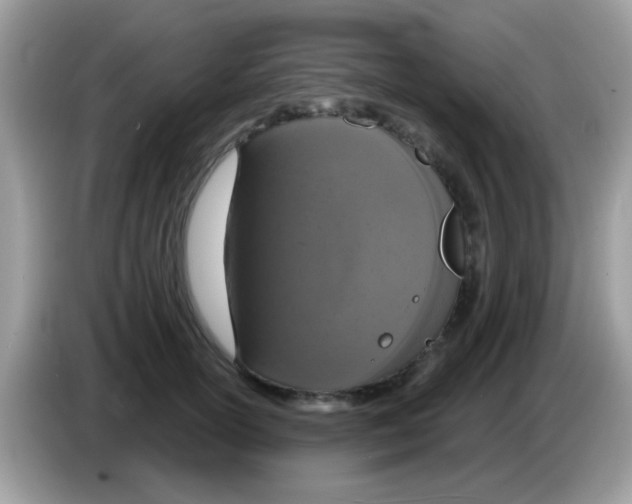 X0000086250754200704261935
