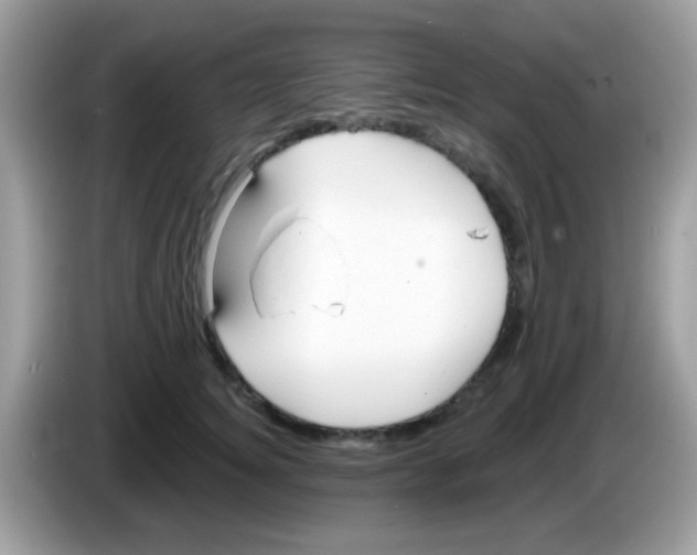X0000086250756200704261936