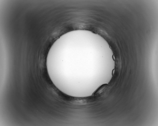 X0000086250760200704261936