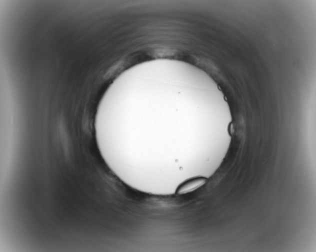 X0000086250763200704261936