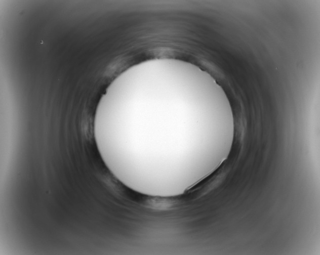 X0000086250766200704261936