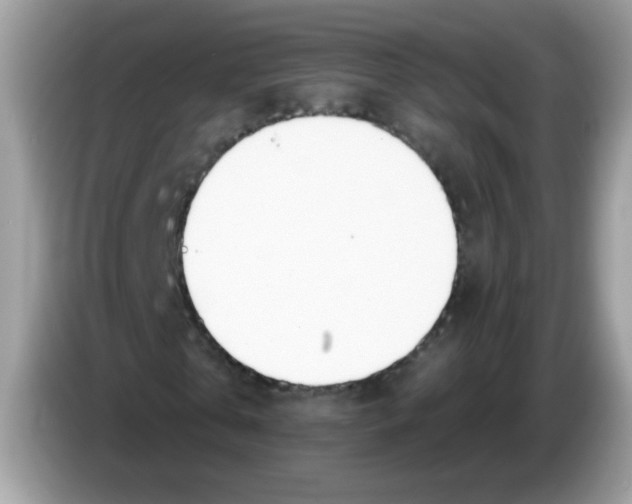 X0000086250769200704261935