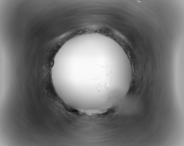 X0000086250773200704261935