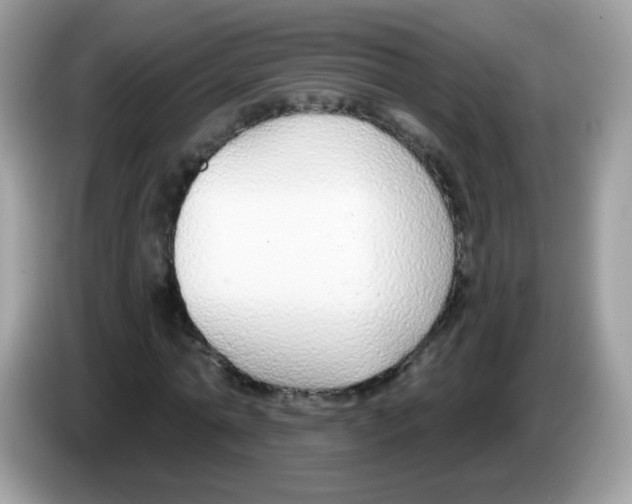 X0000086250774200704261935