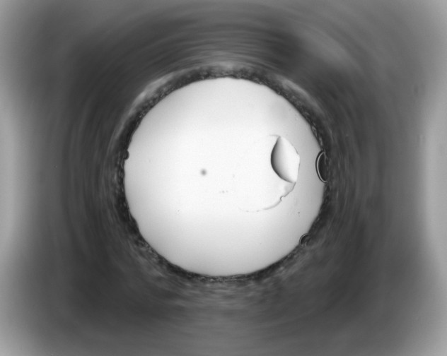 X0000086250776200704261935