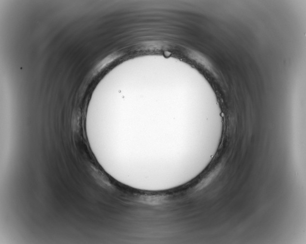 X0000086250778200704261935