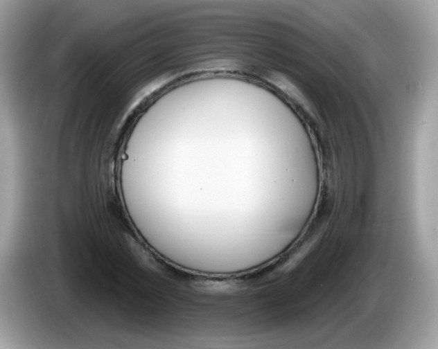 X0000086250781200704261935