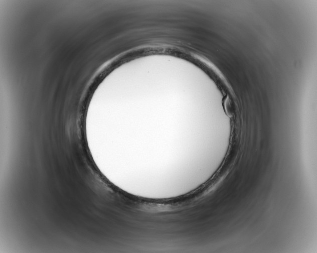 X0000086250783200704261935