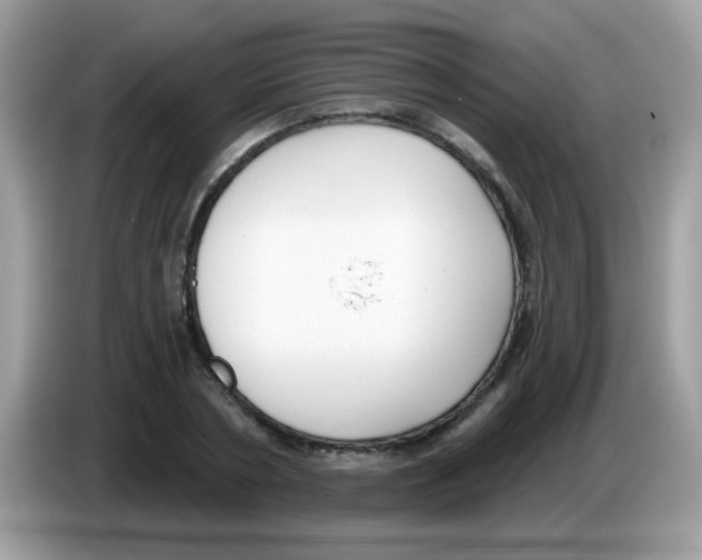 X0000086250786200704261935