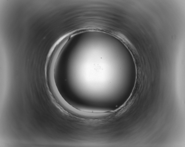 X0000086250788200704261935