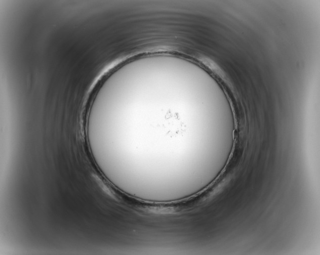 X0000086250789200704261935