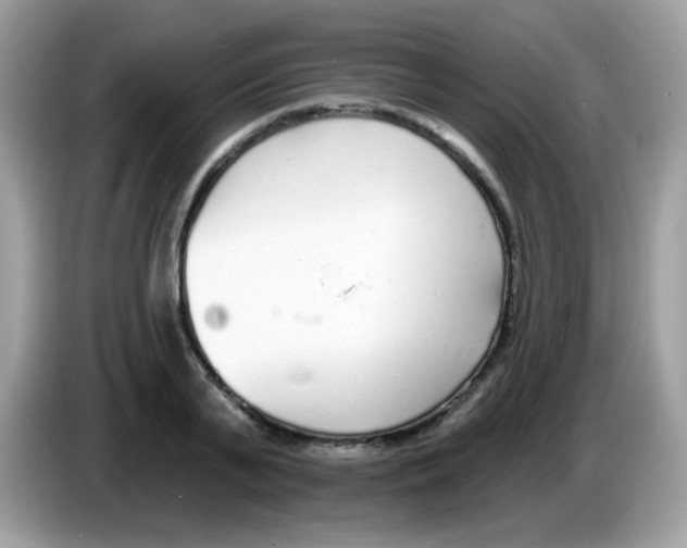 X0000086250791200704261935