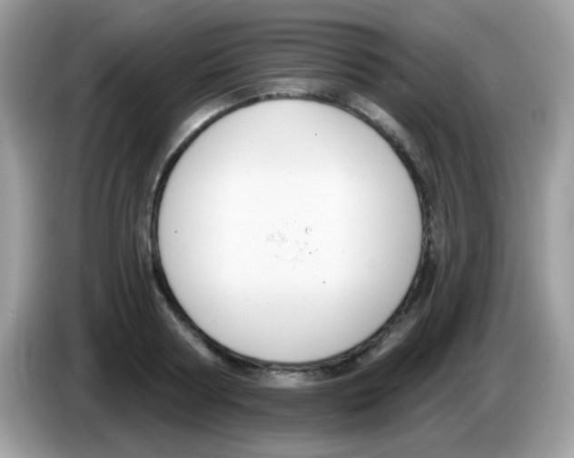 X0000086250794200704261935