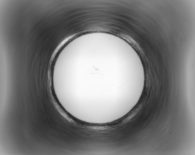 X0000086250796200704261935