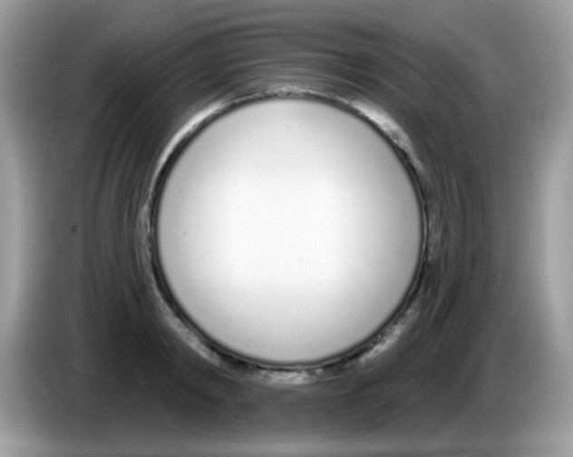 X0000086250798200704261935