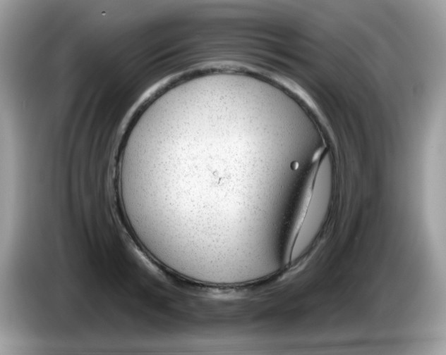X0000086250799200704261935