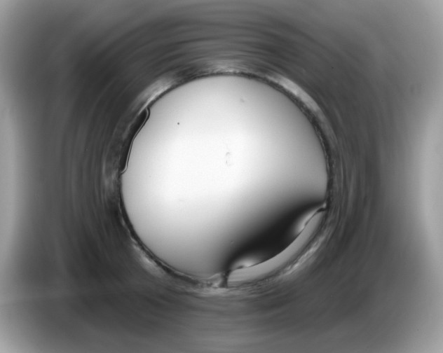 X0000086250801200704261935