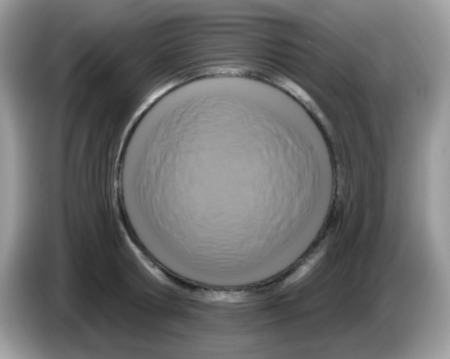 X0000086250802200704261935