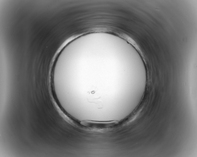X0000086250803200704261935