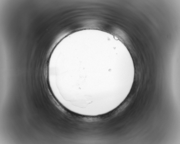 X0000086250804200704261935