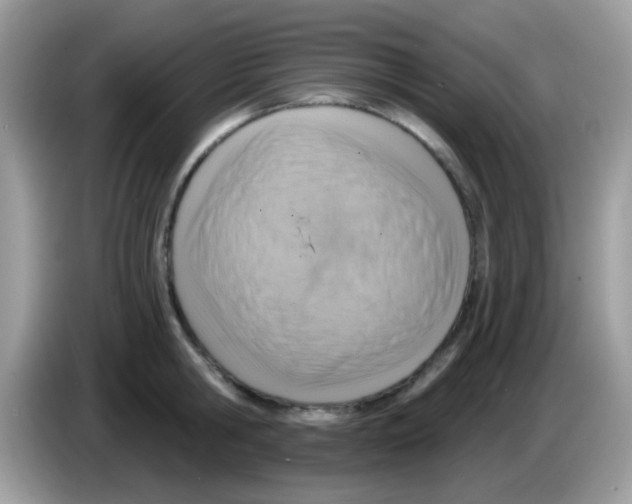 X0000086250806200704261935