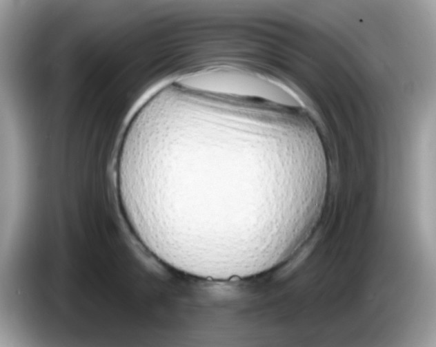 X0000086250814200704261934