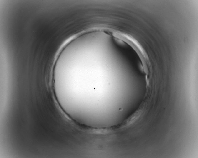 X0000086250815200704261934