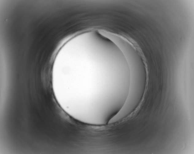 X0000086250816200704261934