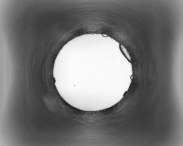 X0000086250817200704261934