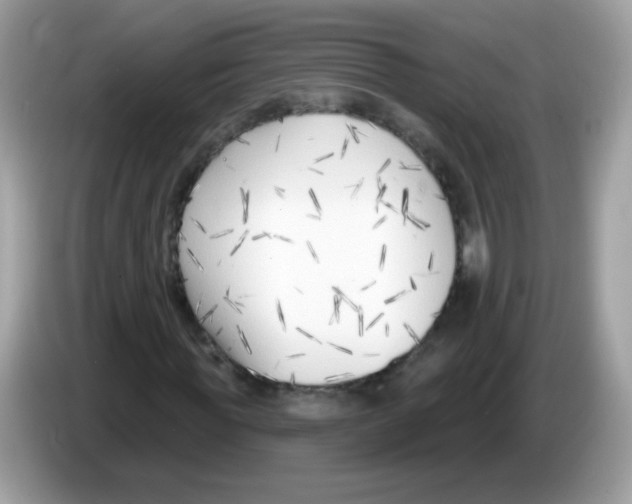 X0000086250819200704261934