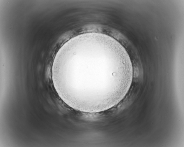 X0000086250820200704261934